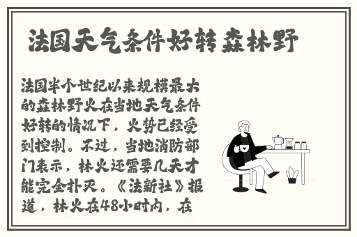喧喧影视2019年最好看电视剧
